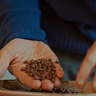 Santoker X3 Kafferister