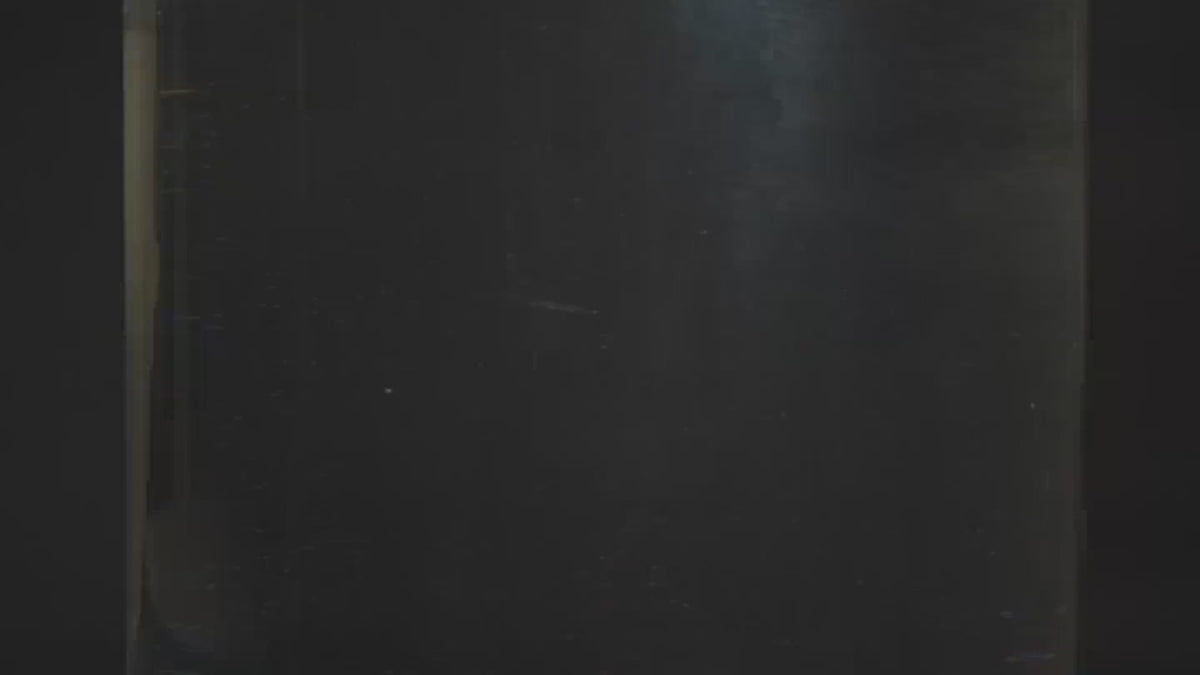 DiFluid R2 Extract hos Home Roast