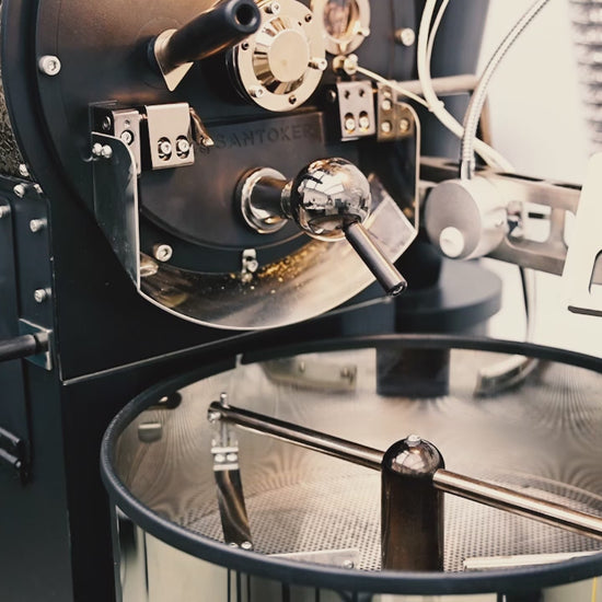 Santoker R3 Video Home Roast